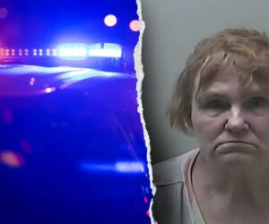 Michigan babysitter faces 47 sexual abuse charges involving children: police