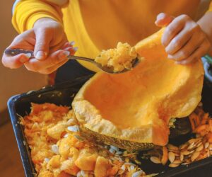 Fall pumpkin trends show state-by-state food preferences across US