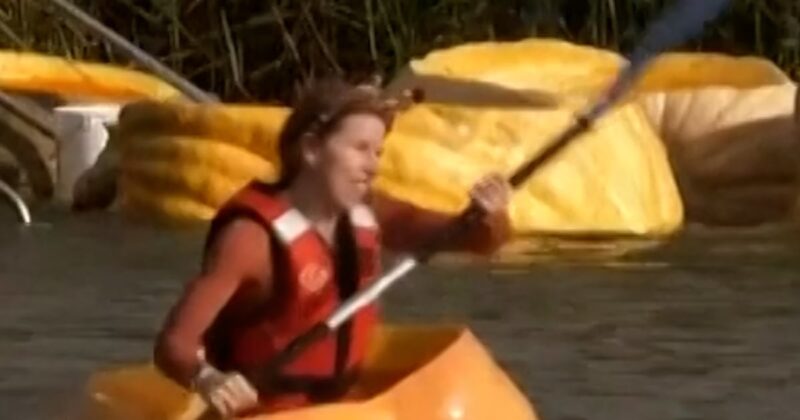 Belgians paddle in hollowed-out pumpkins for annual event