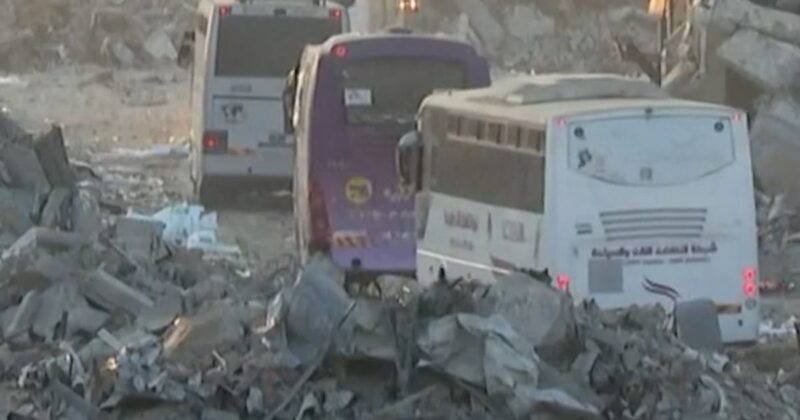 Red Cross vehicles carrying hostages in Gaza
