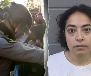 University of Chicago condemns violence after professor charged at ICE protest