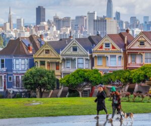 San Francisco residents lose patience with badly behaved dogs disrupting life across the city