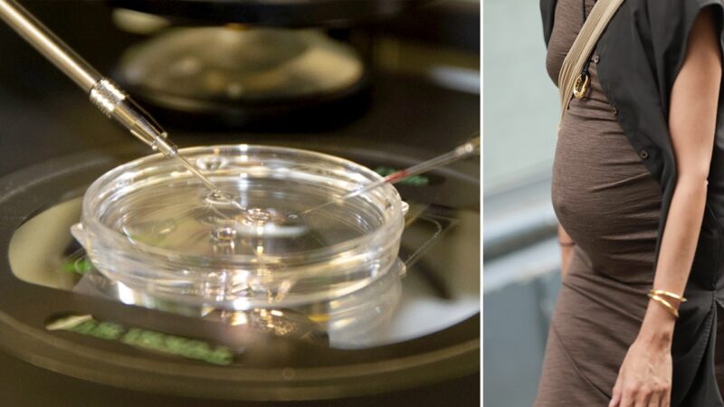 Scientists create human eggs from skin cells in fertility breakthrough