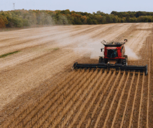 Trump, Xi meeting puts soybeans at center of US-China trade tensions