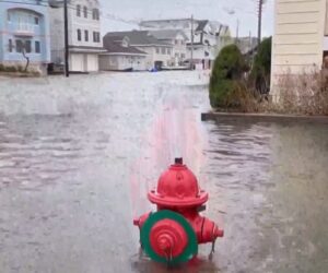 Nor’Easter Pummels East Coast With Rain, Wind, Flash Flooding
