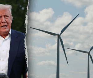 Trump offshore wind cancellations mirror Biden’s Keystone XL mistake