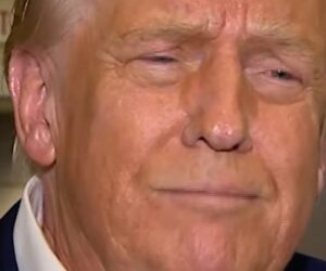 Trump ‘very disappointed’ in Canada for anti-tariff ad