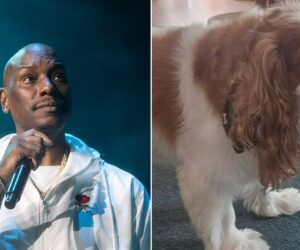 Tyrese Gibson arrest warrant issued after dogs allegedly kill neighbor’s dog