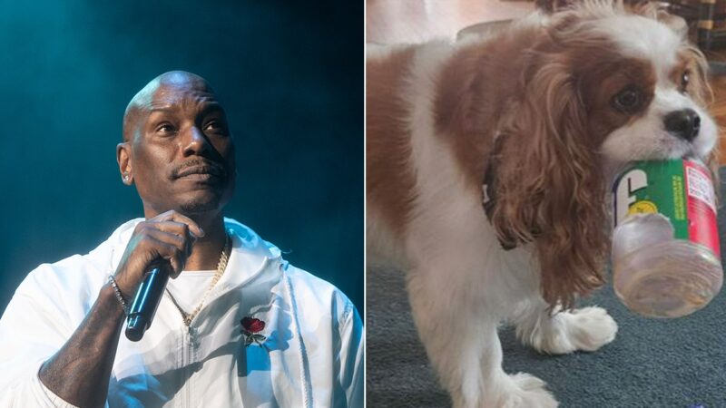 Tyrese Gibson arrest warrant issued after dogs allegedly kill neighbor’s dog