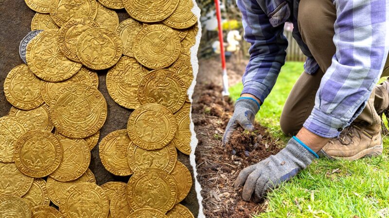 Gold coins found by UK couple in garden set to auction for six-figure sum