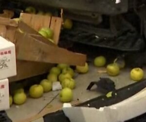 Car falls from rooftop parking into Japan supermarket