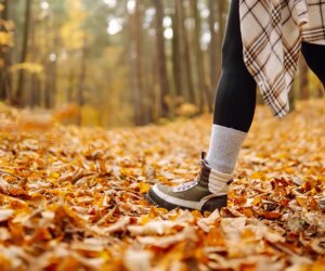 Great Lock-In trend uses fall to build healthy habits before holidays