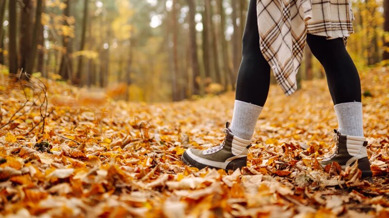 Great Lock-In trend uses fall to build healthy habits before holidays