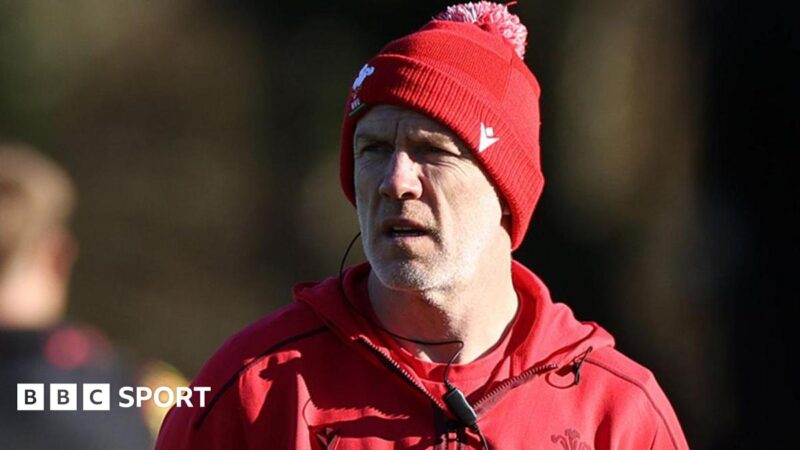 Wales v South Africa: Far-from-perfect Springboks Test can boost hosts – Tandy