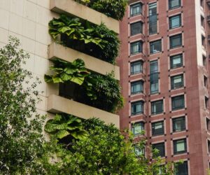 The Rise Of Regenerative Urbanism