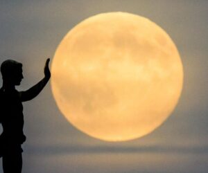 Closest Supermoon In Six Years Lights Up November Skies
