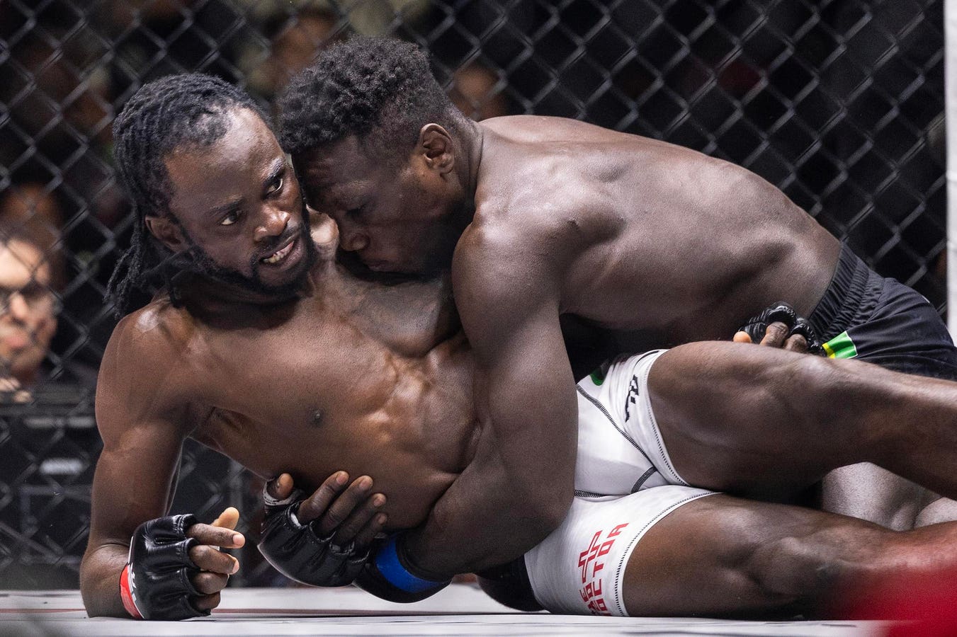 PFL Signs Vice TV Deal for MENA, Africa Events Starting Dec 2025