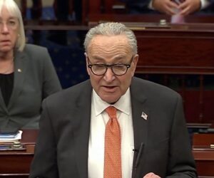 Schumer puts forward new plan to end government shutdown