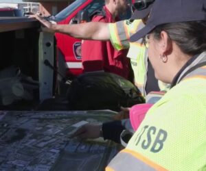 Black boxes from UPS cargo plane reveal alarm bell went off in cockpit before crash