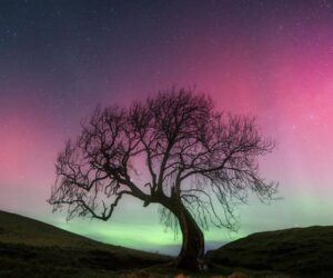 16 States Suddenly On Aurora Alert Sunday As Sun Unleashes X-Flare