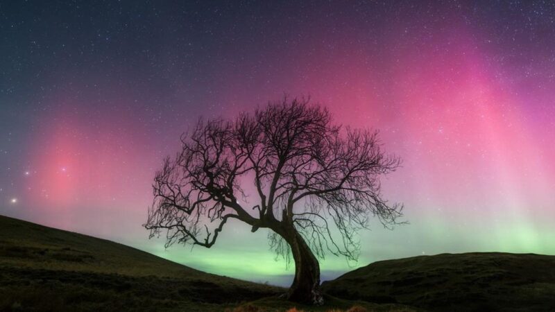 16 States Suddenly On Aurora Alert Sunday As Sun Unleashes X-Flare