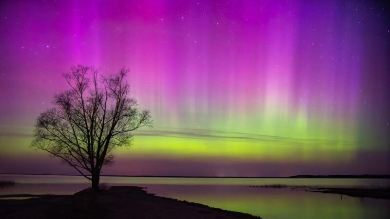 22 States On Aurora Alert This Week As Plasma Clouds Arrive From Sun
