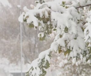 Brutal Cold Front Sweeps Across US With Early Winter Weather