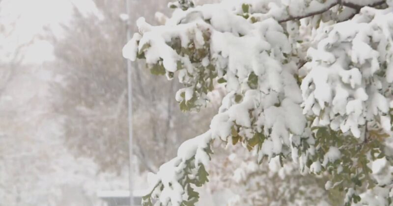Brutal Cold Front Sweeps Across US With Early Winter Weather