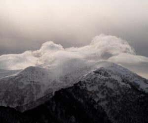 Cloud Native AI Enters Its Production Era