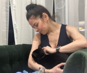 Volunteer Calms Shelter Cats With Innovative Approach: Reiki