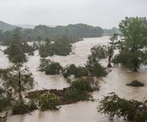 The Adaptation Finance Gap Has Become A Global Stability Risk