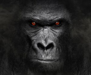 US Healthcare’s Biggest Problem: Overlooking The $5T Gorilla