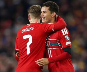 World Cup playoff draw: Wales get Bosnia, likely face Italy in final