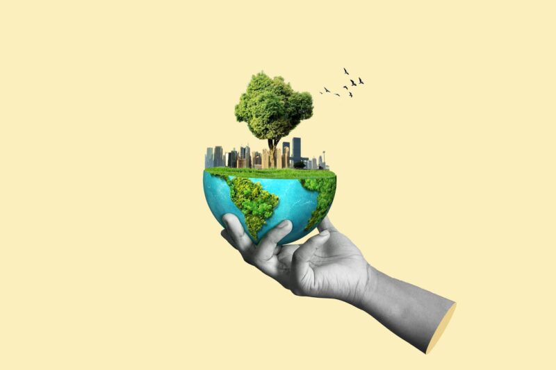 Why COP30 Is The Ultimate Audit Of Our Natural Intelligence