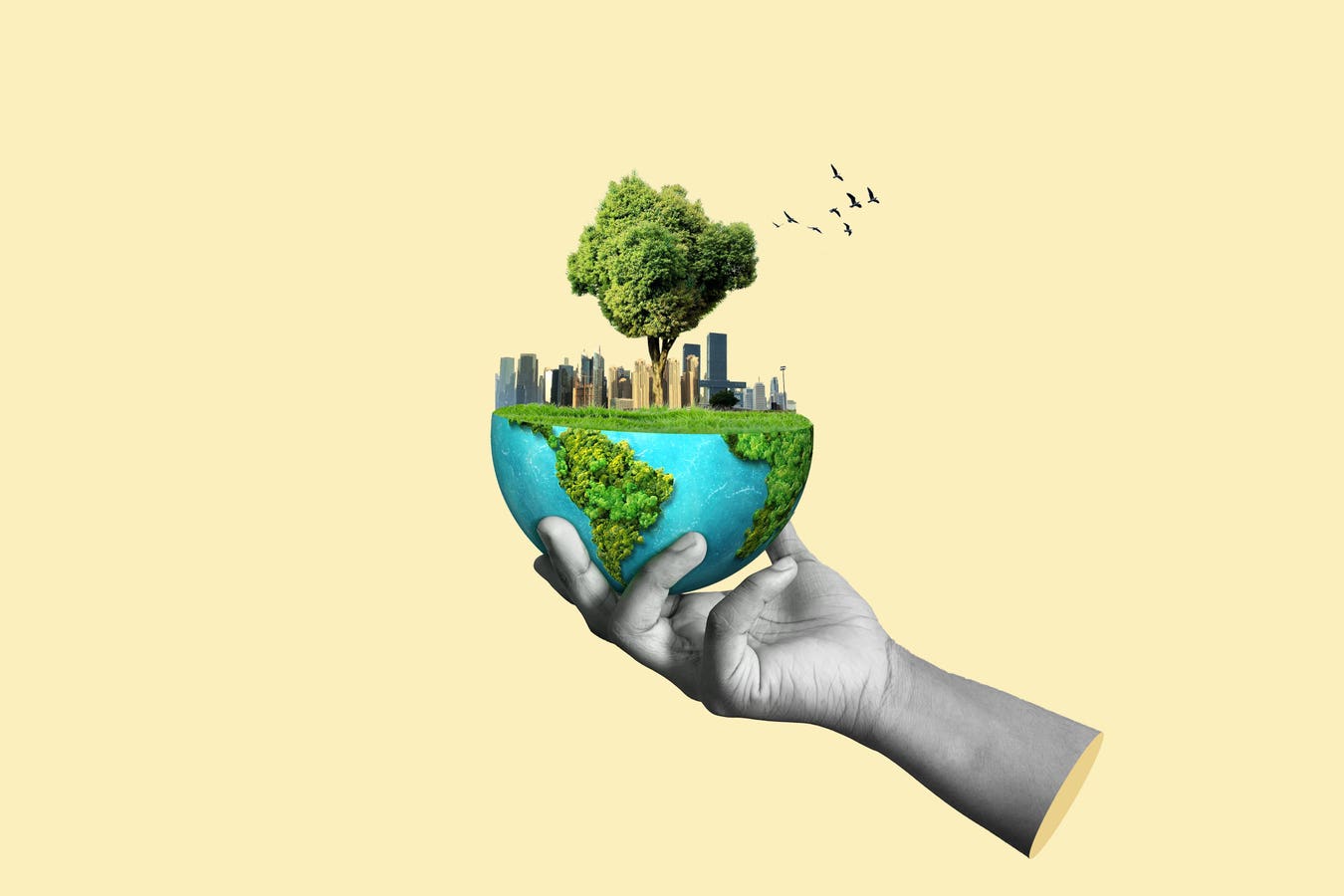 Why COP30 Is The Ultimate Audit Of Our Natural Intelligence