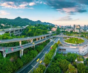 Cities Are Expanding Uphill, Threatening Global Biodiversity