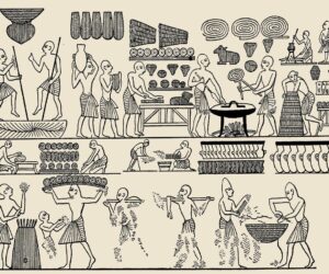 It Was Found Growing On Ancient Egyptian Bread