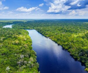 Why Nature Is At The Center Of Global Climate Events