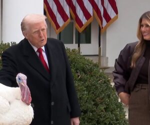 Trump pardons turkey Gobble for Thanksgiving