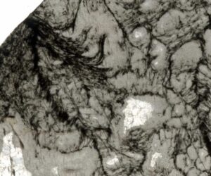 A.I. Finds Chemical Traces Of Life In 3.3-Billion-Year-Old Rocks