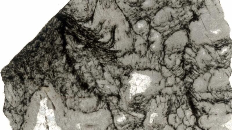 A.I. Finds Chemical Traces Of Life In 3.3-Billion-Year-Old Rocks