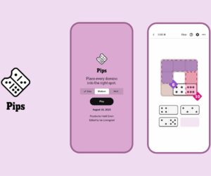 NYT ‘Pips’ Hints, Answers, And Walkthrough, Wednesday November 26