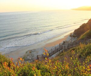 U.S. Moves To Start Offshore Fish Farming In Federal Waters