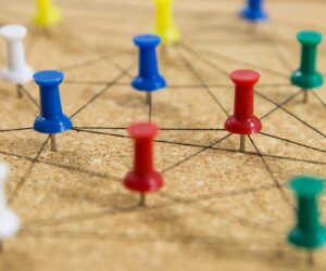 NYT Connections Hints And Answers For Friday, November 28 (#901)