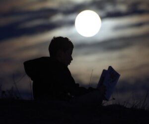 2025’s Best Books For Stargazers, Selected By An Astronomy Author