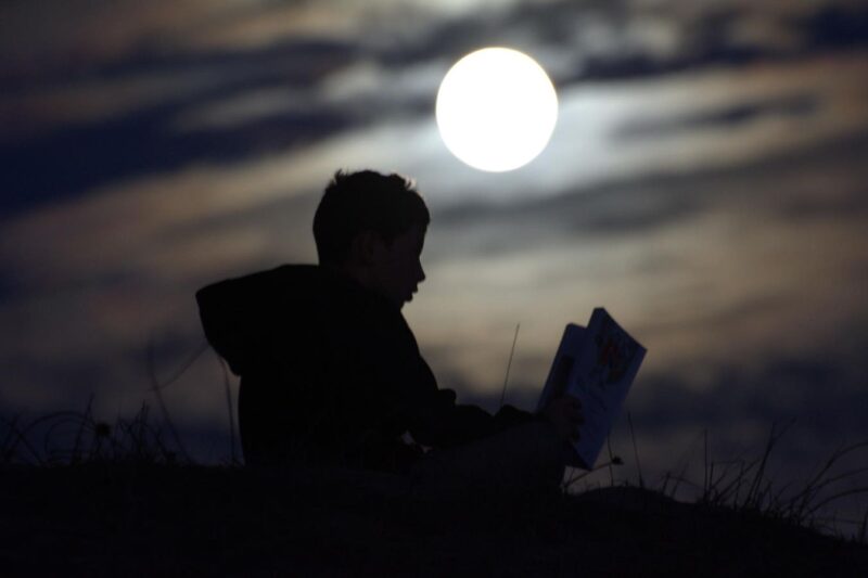 2025’s Best Books For Stargazers, Selected By An Astronomy Author