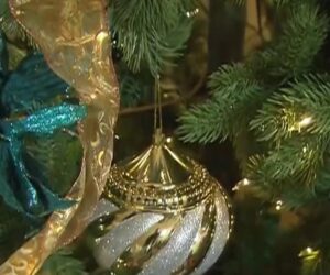 Tariffs, economic pressures raise prices on holiday decorations