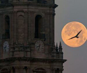 Exactly When To See A ‘Cold Supermoon’ Rise