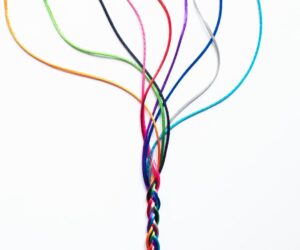 Sunday, November 30 (Group Membership)