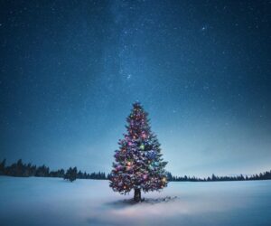 See A ‘Christmas Star,’ A Supermoon And Meteors: December’s Night Sky